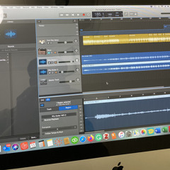 The Disenchantment Project Reborn