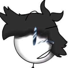 Middlekauff STBLX