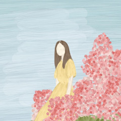 cypress