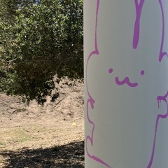 bunnssx