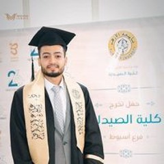 Alaa Abotalb
