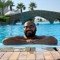 Fady Sameh