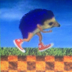 Sanic The Speedster