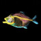 Piranha