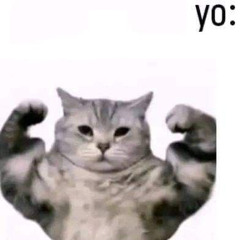 yoo