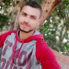 Mohamed Abdelkreem