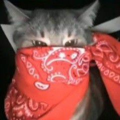 ДЯДЯ НЕГР