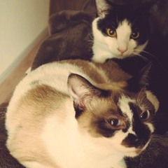 How is Your Weather?