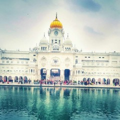 M Singh