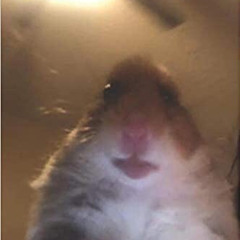 boi