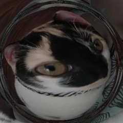 mrspaulinha