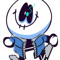 sans skid