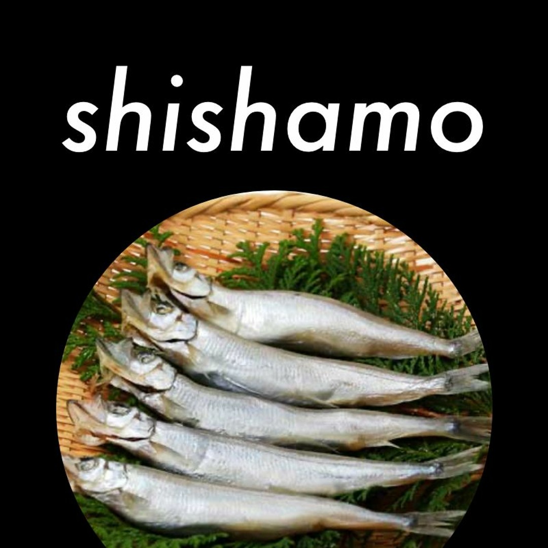 Stream ししゃもorShishamo music | Listen to songs, albums