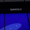 GAWS RECORDS