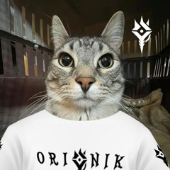 ORIONIK