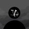 icon theory