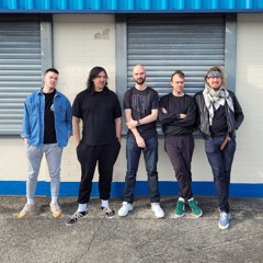 Ispíní na hÉireann