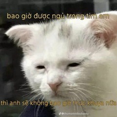 powdangyeunhatvutru.