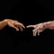 Mohammadrjb1373