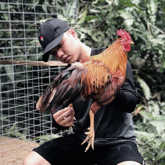 Phat Nguyen