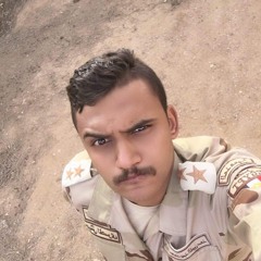 Mohamed Abd Elnabee
