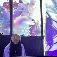 saidimeant