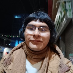 Carlos Octavio Frances Roncal Calsina