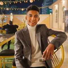 youssef mohamed