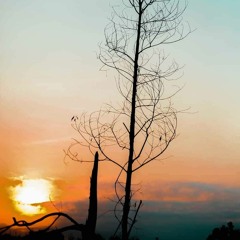 Trần Đức Lương