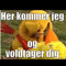 Johan Kjær
