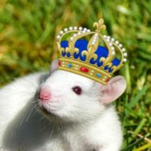 King Rat1713’s avatar