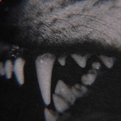 Frexi _
