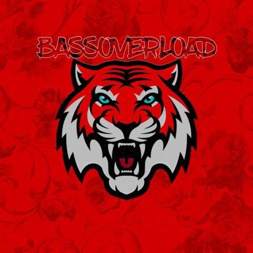 BassOverload’s avatar