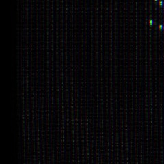 X Æ R A