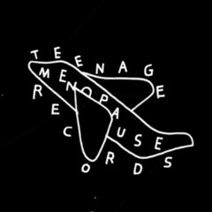 TeenageMenopause Records