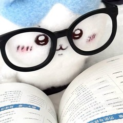 hdpxt