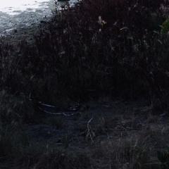 The Cavity-Free Club