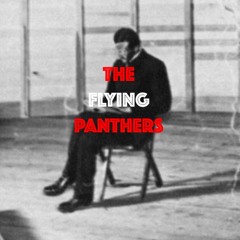 The Flying Panthers