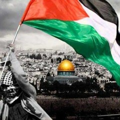 Omar🤍🇵🇸