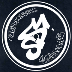 Stevo.8