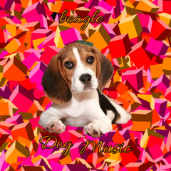 Beagle Dog® Music