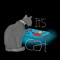 It's Cat