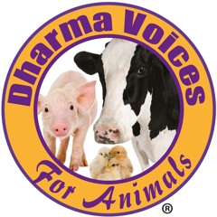 Dharma Voices for Animals