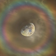 Gypsy Gardens Outdoor Market