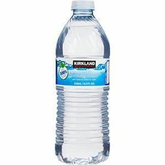 KIRKLAND WATER BOTTLE