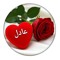 عادل المصرى