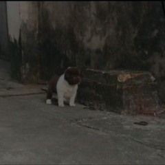 25_T.T.Bích Phượng_10a2