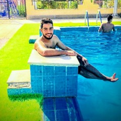 Mohamed Heshmat Elhmammy