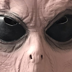 vin