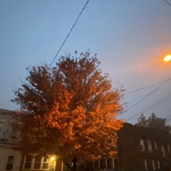 octobers past